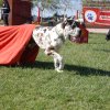 100 strade per giocare 2008